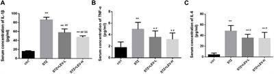 Levetiracetam attenuates diabetes-associated cognitive impairment and microglia polarization by suppressing neuroinflammation